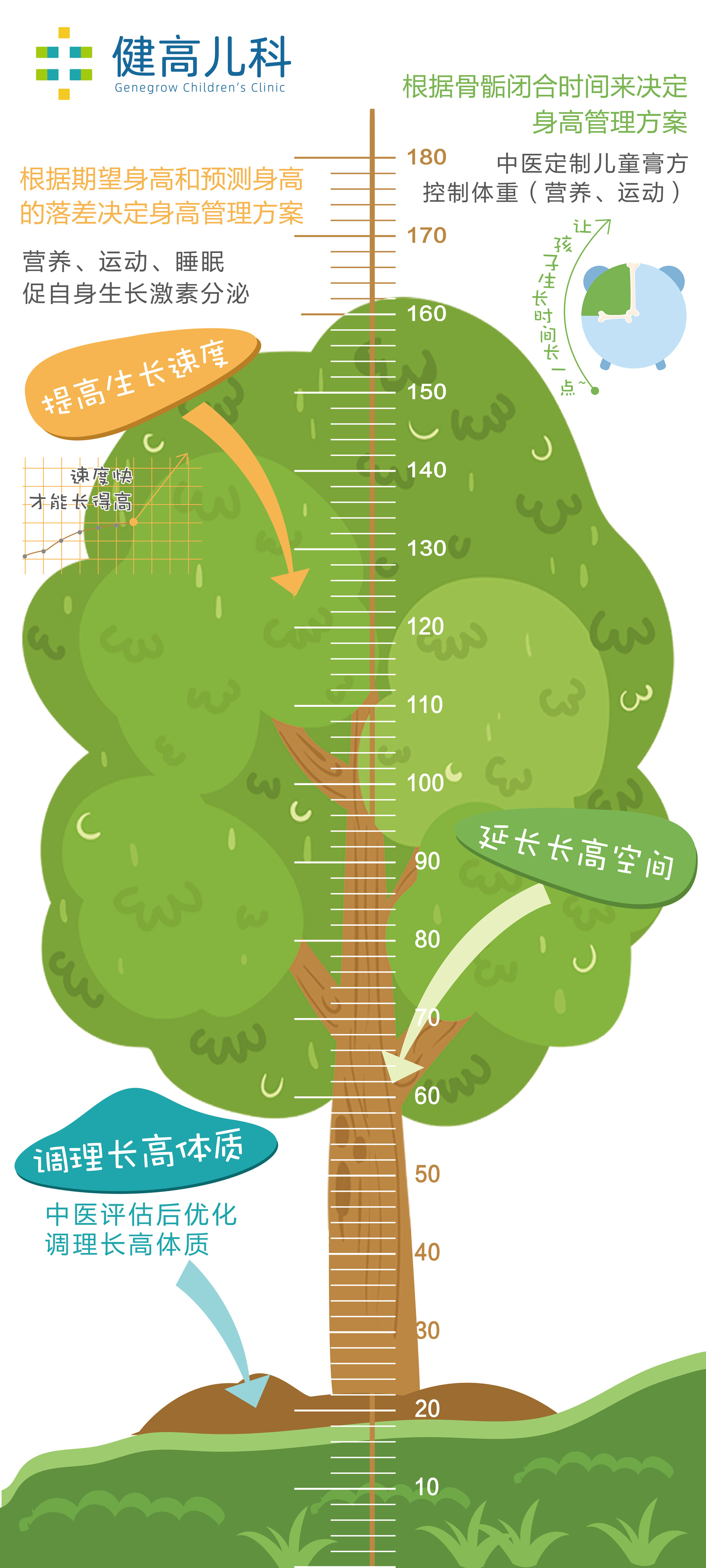 1601346303723751.jpg 树2.jpg